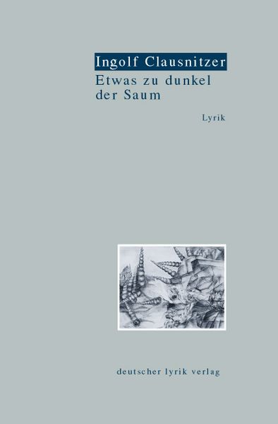 Cover von Etwas zu dunkel der Saum
