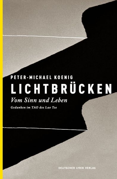 Cover von Lichtbrücken