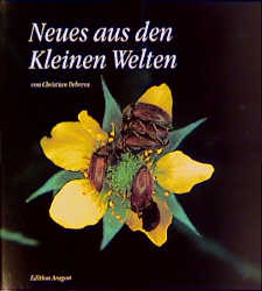 Cover von Neues aus den Kleinen Welten