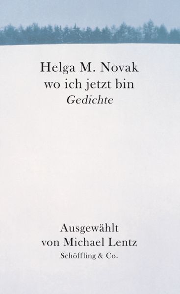 Cover von Wo ich jetzt bin