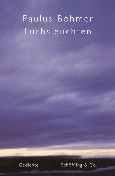 Cover von Fuchsleuchten