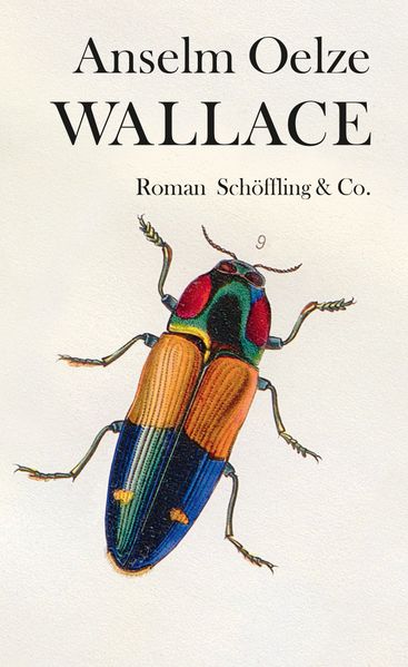 Cover von Wallace