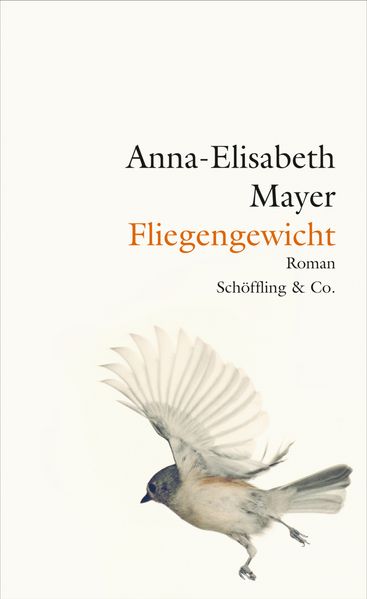 Cover von Fliegengewicht