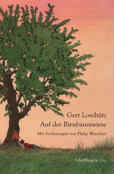 Cover von Besichtigung eines Unglücks
