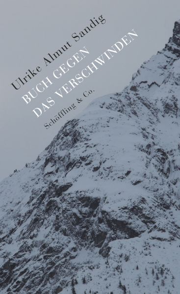 Cover von Buch gegen das Verschwinden