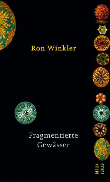 Cover von Fragmentierte Gewässer