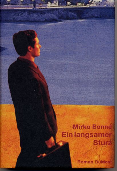 Cover von Ein langsamer Sturz