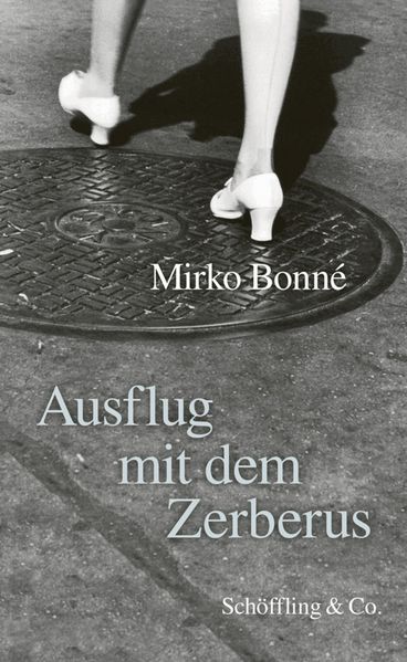 Cover von Ausflug mit dem Zerberus