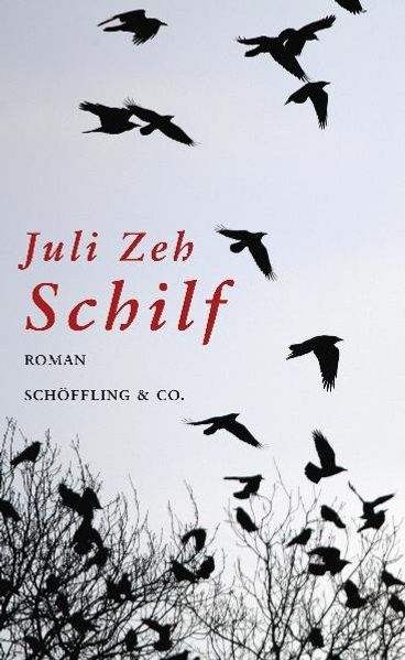Cover von Schilf