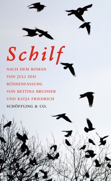 Cover von Schilf. Bühnenfassung