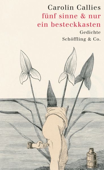 Cover von fünf sinne & nur ein besteckkasten