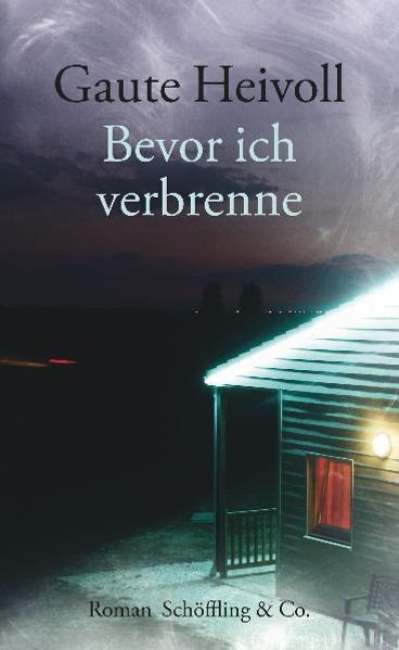 Cover von Bevor ich verbrenne