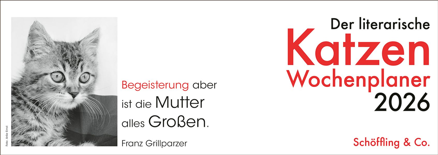 Cover von Der literarische Katzen Wochenplaner 2026