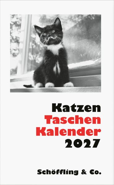 Cover von Katzen Taschenkalender 2027