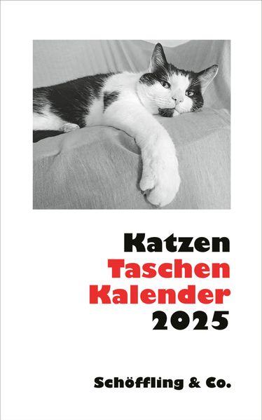 Cover von Katzen Taschenkalender 2025