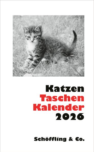 Cover von Katzen Taschenkalender 2026