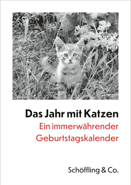 Cover von Das Jahr mit Katzen