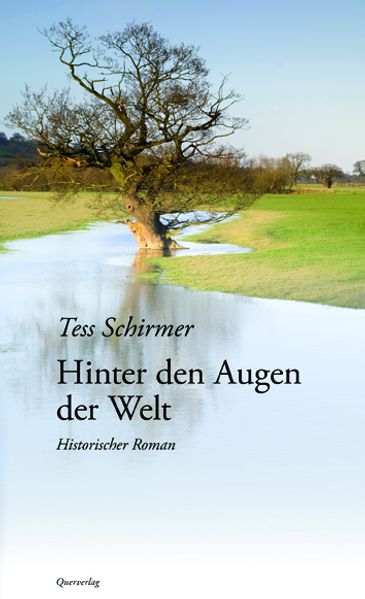Cover von Hinter den Augen der Welt