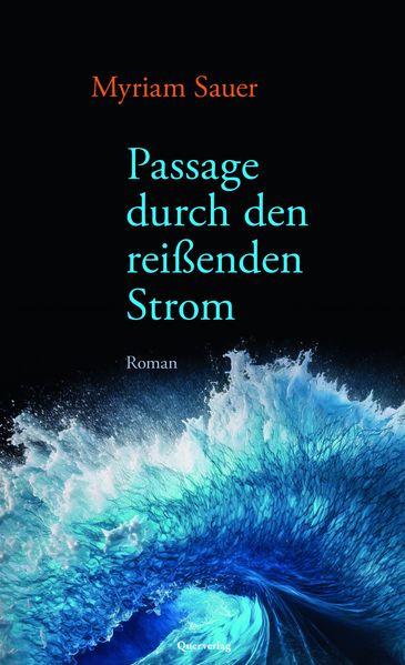 Cover von Passage durch den reißenden Strom