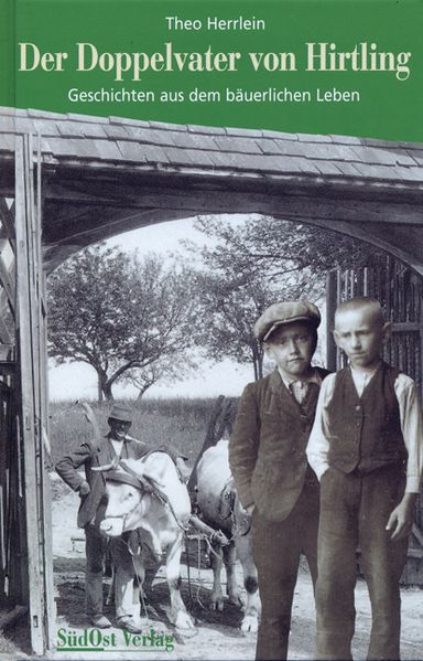 Cover von Der Doppelvater von Hirtling