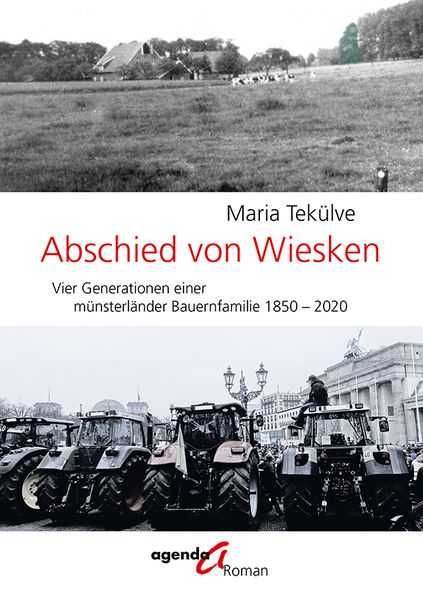 Cover von Abschied von Wiesken