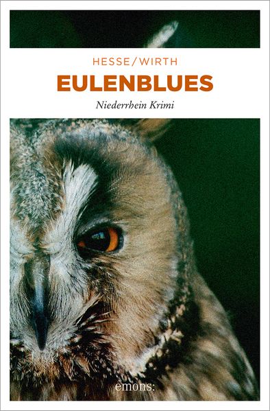 Cover von Eulenblues