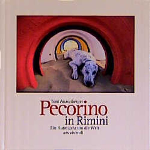 Cover von Pecorino in Rimini