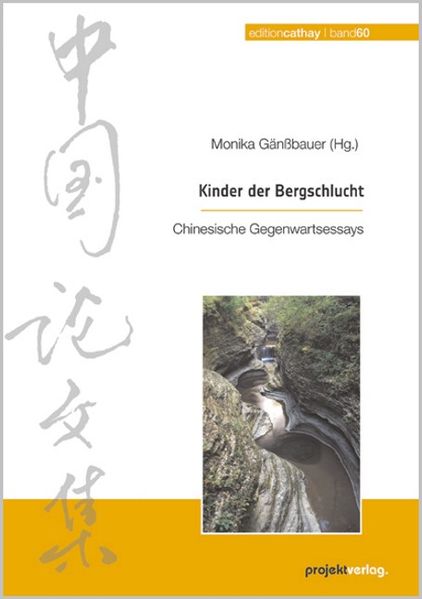 Cover von Kinder der Bergschlucht