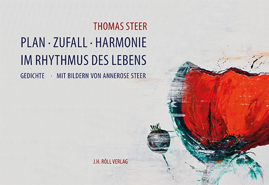 Cover von Plan-Zufall-Harmonie.