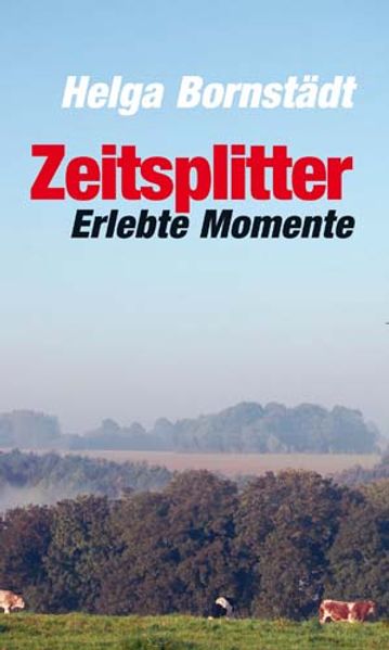 Cover von Zeitsplitter
