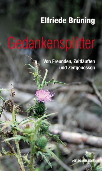 Cover von Gedankensplitter