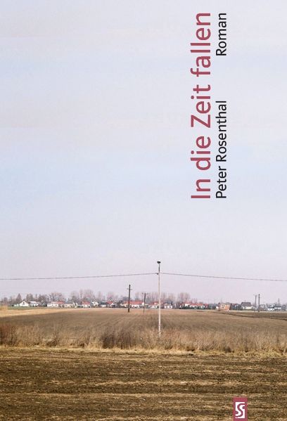 Cover von In die Zeit fallen
