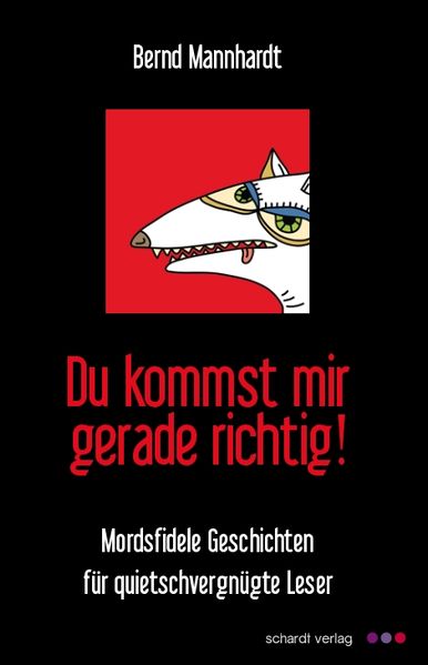 Cover von Du kommst mir gerade richtig!