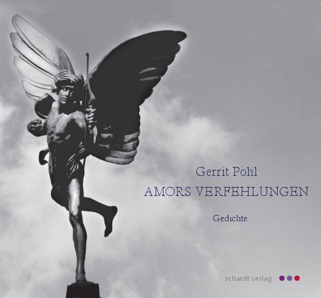 Cover von Amors Verfehlungen
