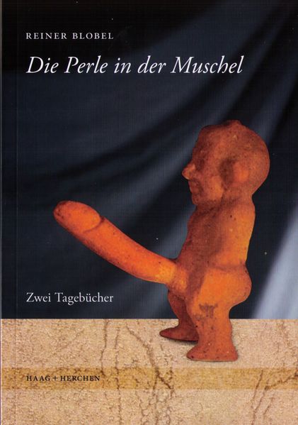 Cover von Die Perle in der Muschel