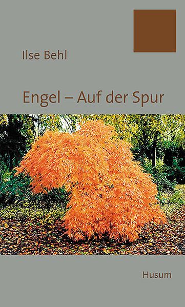 Cover von Engel – Auf der Spur