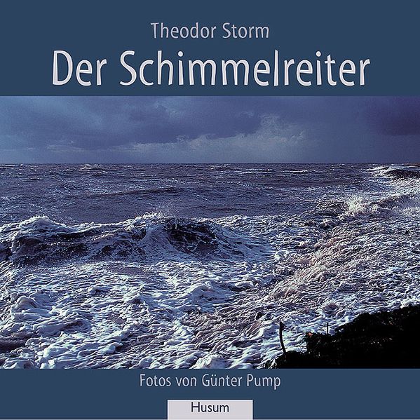 Cover von Der Schimmelreiter