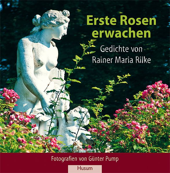 Cover von Erste Rosen erwachen