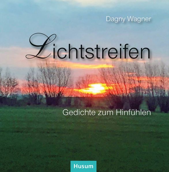 Cover von Lichtstreifen