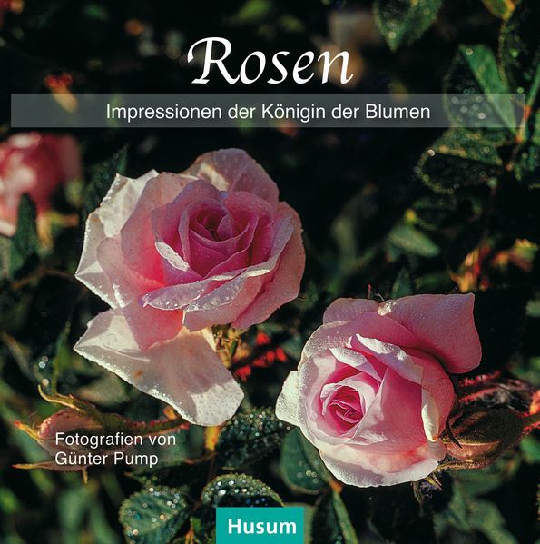 Cover von Rosen
