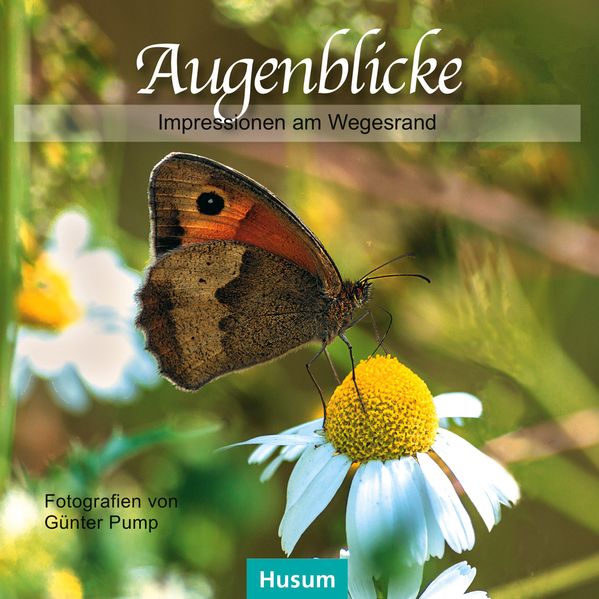 Cover von Augenblicke