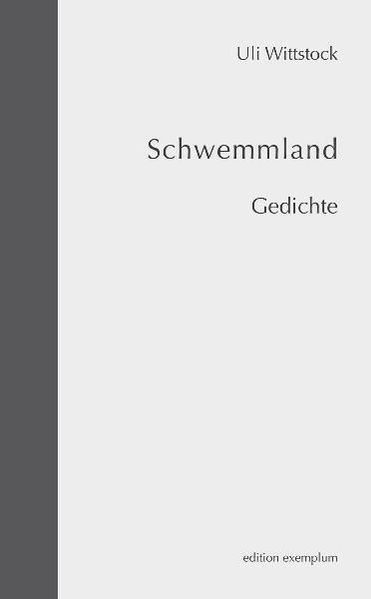 Cover von Schwemmland
