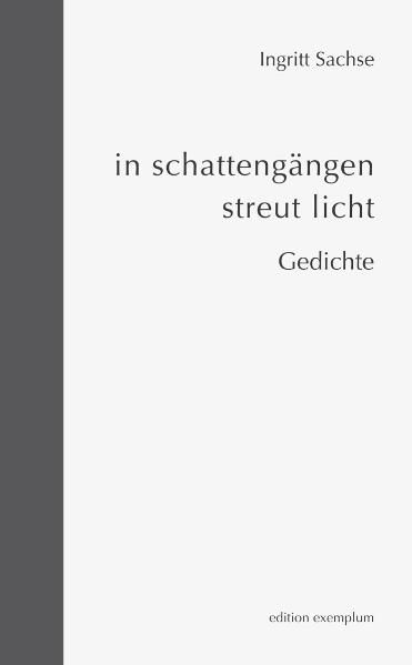 Cover von in schattengängen streut licht