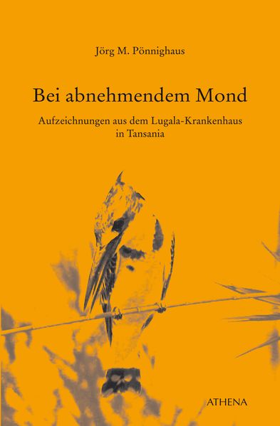 Cover von Bei abnehmendem Mond