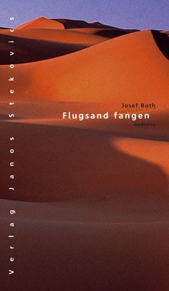 Cover von Flugsand fangen