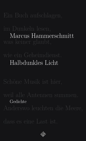Cover von Halbdunkles Licht