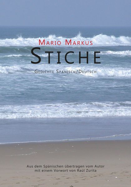 Cover von Stiche