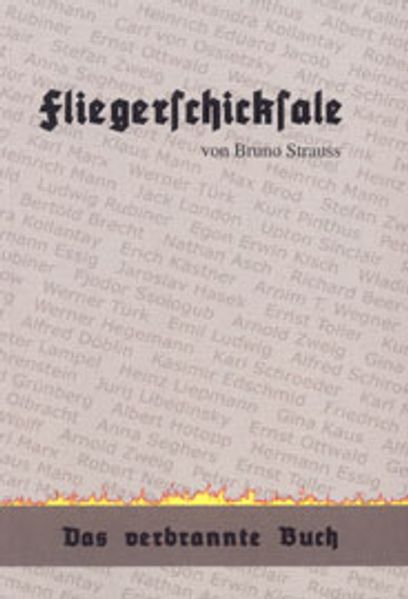 Cover von Fliegerschicksale