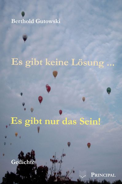 Cover von Es gibt keine Lösung … es gibt nur das Sein!