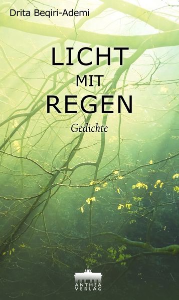 Cover von Licht mit Regen